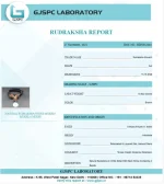 Kalsarpa Rudraksha Mala lab Certificate