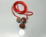 Kalsarpa lab Rudraksha Mala