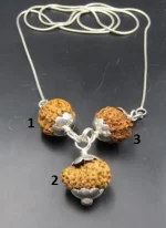 Maha Gyan Rudraksha lab Mala