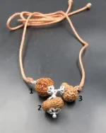 Maha Gyan Rudraksha lab Mala