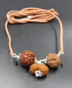 Maha Gyan Rudraksha lab Mala