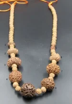 Navagraha Rudraksha lab Mala