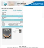 Prem Rudraksha Mala lab Certificate