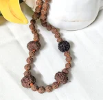 Prem Rudraksha Mala