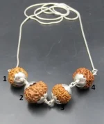 Prem Rudraksha lab Mala