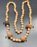 Prem Rudraksha lab Mala