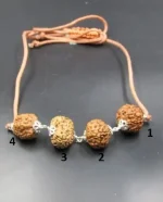 Prem Rudraksha lab Mala