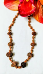 Rog Mukti Rudraksha Mala