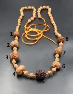 Rog Mukti lab Rudraksha Mala