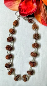 Sarva Siddha Rudraksha Mala