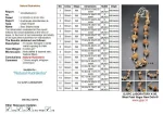 Sarva Siddha Rudraksha Mala lab Certificate