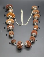 Sarva Siddha Rudraksha lab Mala