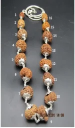 Sarva Siddha Rudraksha Mala