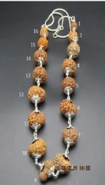 Sarva Siddha lab Rudraksha Mala
