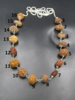Sarva Siddha lab Rudraksha Mala