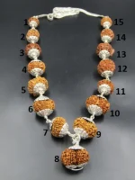 Siddha Rudraksha lab Mala
