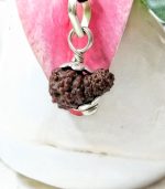 Seventeen Mukhi Java Indonesia