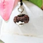 Seventeen Mukhi Java Indonesia