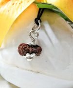 Seventeen Mukhi Java Indonesia