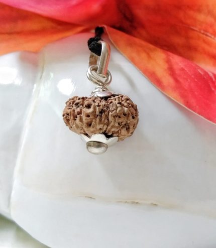 Seventeen Mukhi Java Indonesia