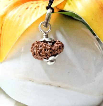 Seventeen Mukhi Java Indonesia