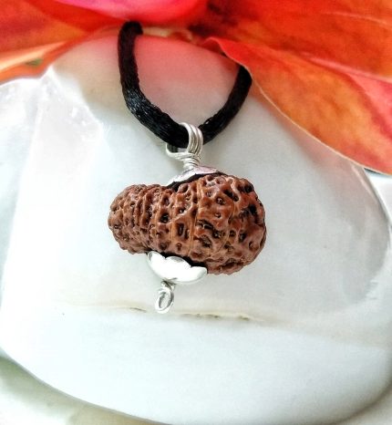 17 Mukhi Java Indonesia