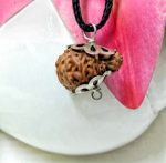 Seventeen Mukhi Java Indonesia