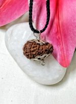 Seventeen Mukhi Java Indonesia