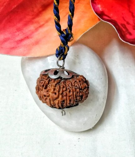 Seventeen Mukhi Java Indonesia