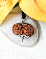 17 Mukhi Java Indonesia