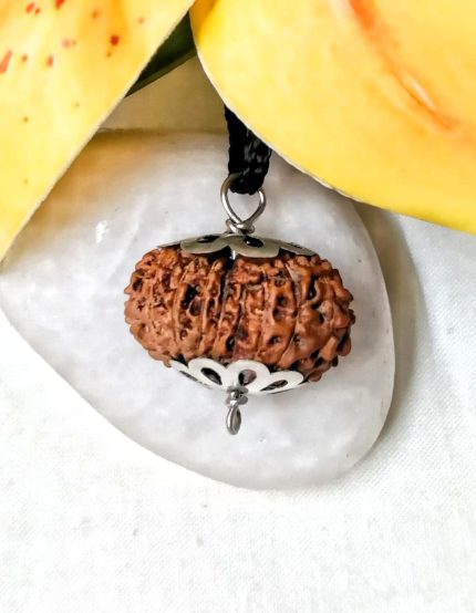 17 Mukhi Java Indonesia