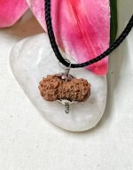 Seventeen Mukhi Java Indonesia