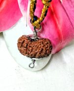 17 Mukhi Java Indonesia