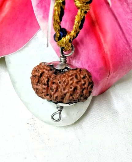 17 Mukhi Java Indonesia