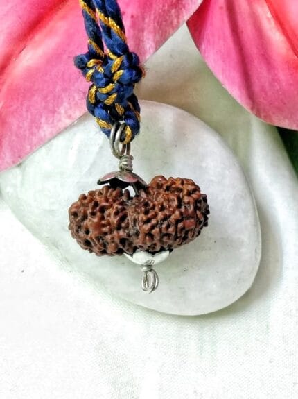 17 Mukhi Java Indonesia