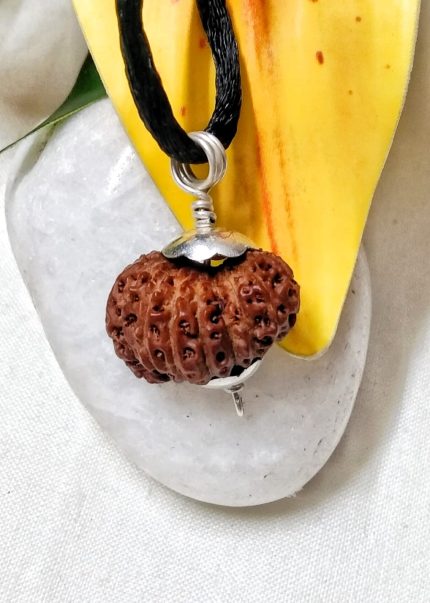 17 Mukhi Java Indonesia