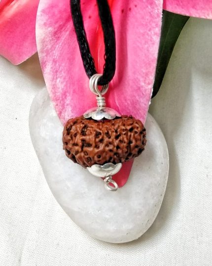 17 Mukhi Java Indonesia