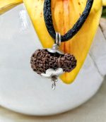 Seventeen Mukhi Java Indonesia