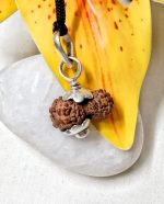 Seventeen Mukhi Java Indonesia
