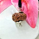Seventeen Mukhi Java Indonesia