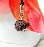 Seventeen Mukhi Java Indonesia