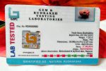 17 Mukhi Java Indonesia