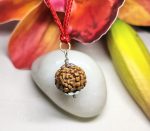 6 Mukhi Rudraksha