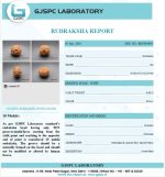 10 Mukhi Certificate