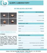 10 Mukhi Certificate