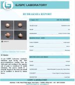 10 Mukhi Certificate