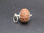 10-Mukhi-Rudraksha