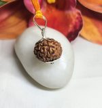 10 Mukhi Rudraksha