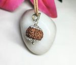 10 Mukhi Rudraksha