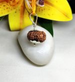 10 Mukhi Rudraksha